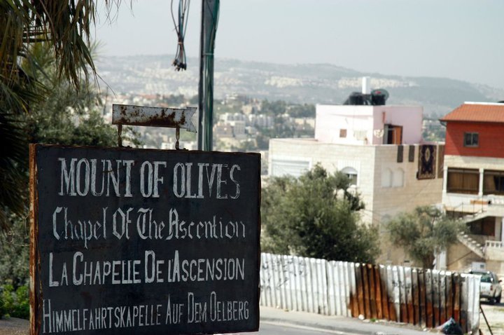 A Picture of the Mount of Olives in Jerusalem